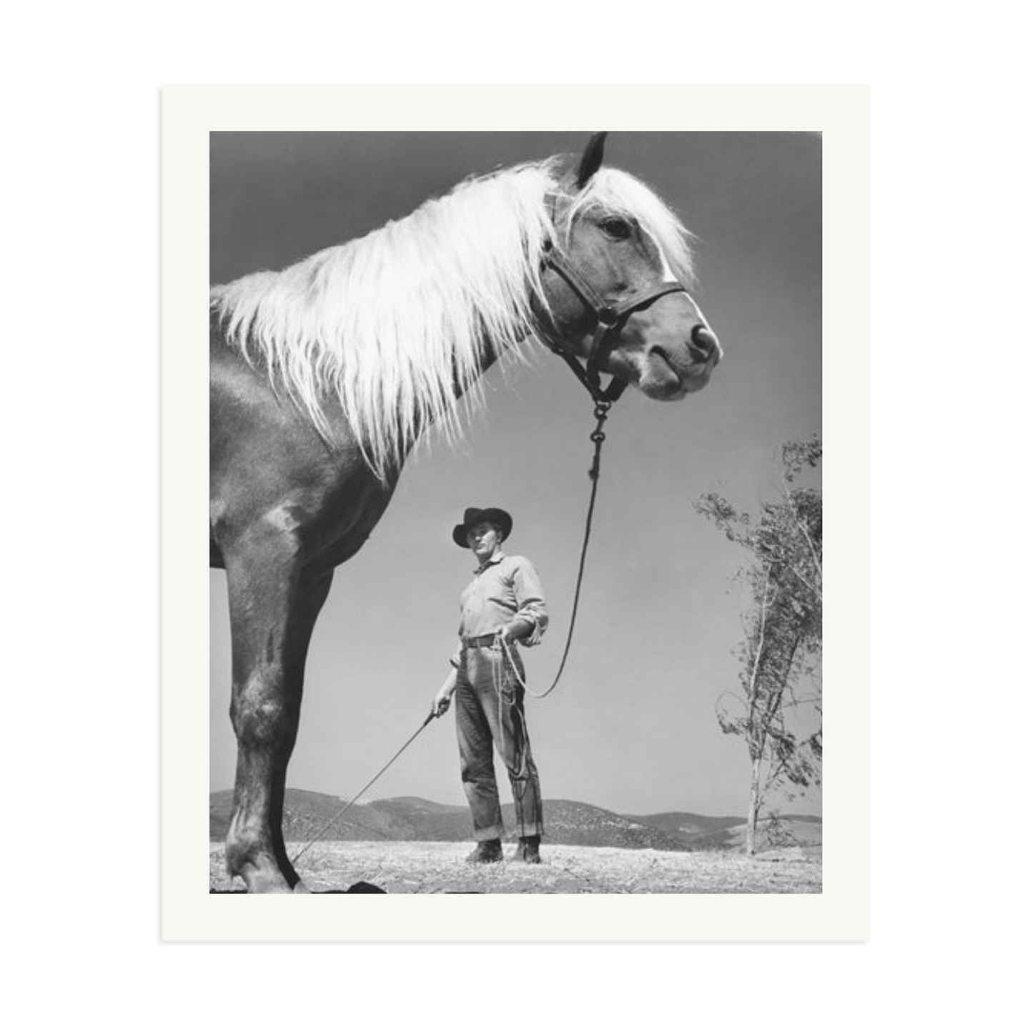 Robert Mitchum - 'The Red Pony'