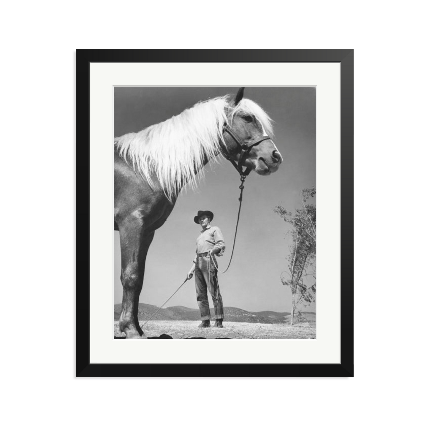 Robert Mitchum - 'The Red Pony'