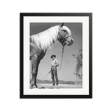 Robert Mitchum - 'The Red Pony'