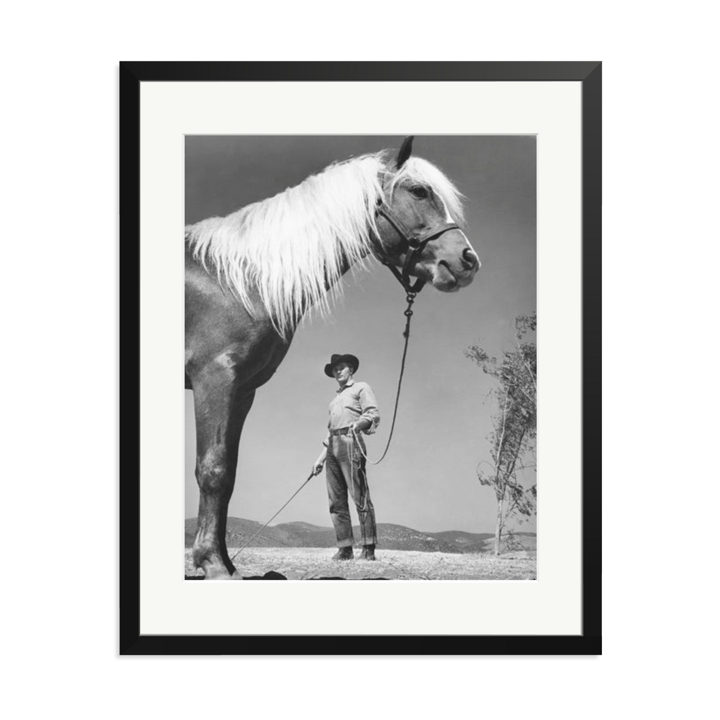 Robert Mitchum - 'The Red Pony'