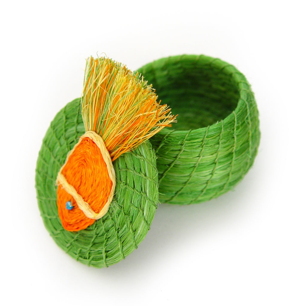 Swimming Fish Lidded Basket – Jones & Daughters