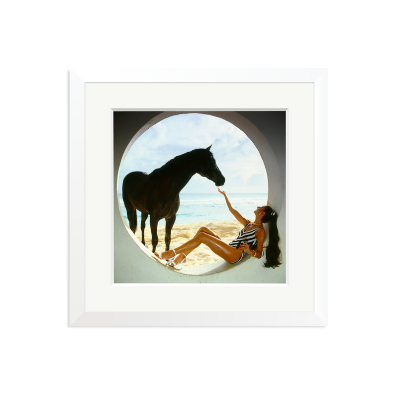 The Black Stallion