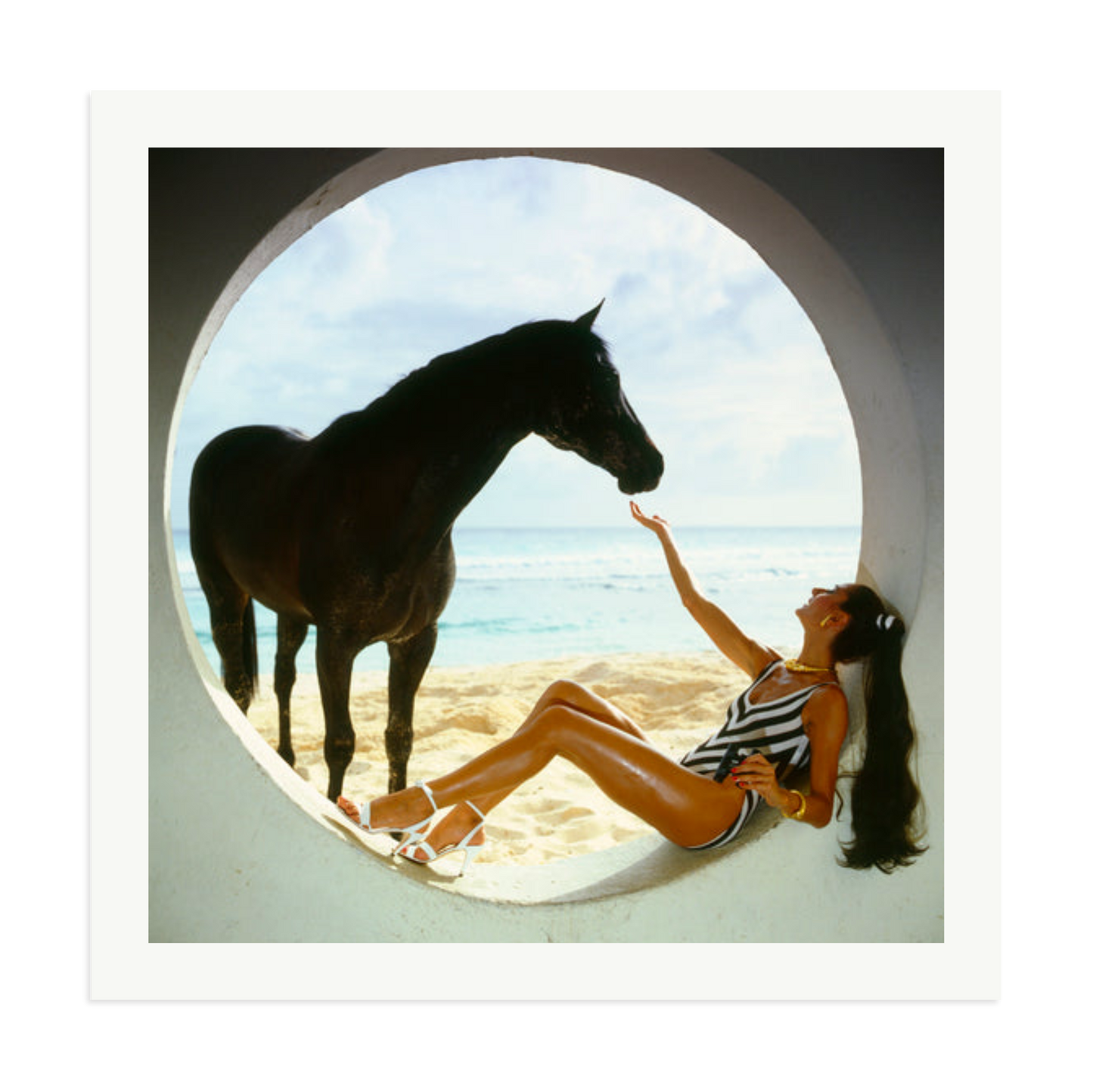 The Black Stallion