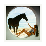 The Black Stallion