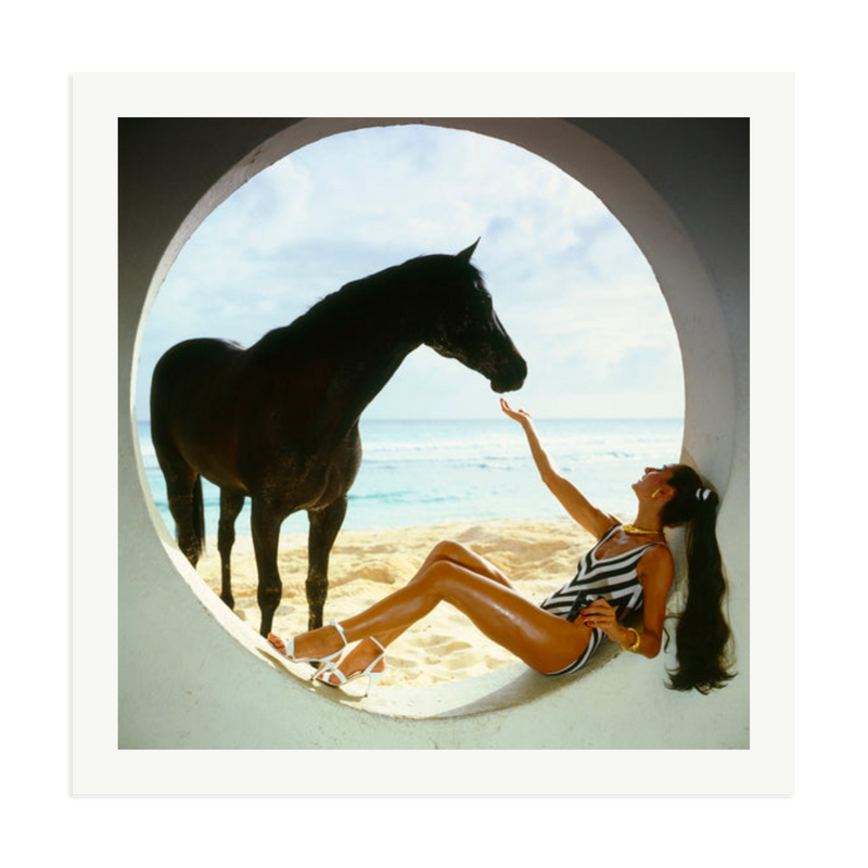 The Black Stallion