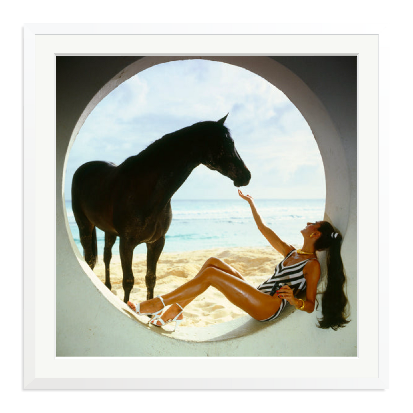 The Black Stallion