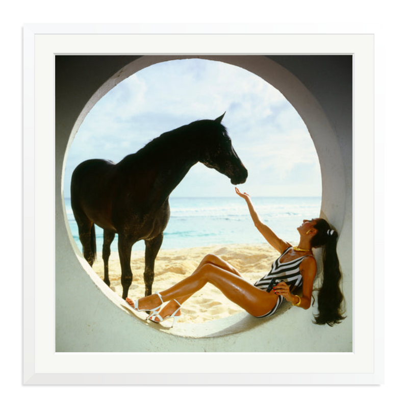 The Black Stallion