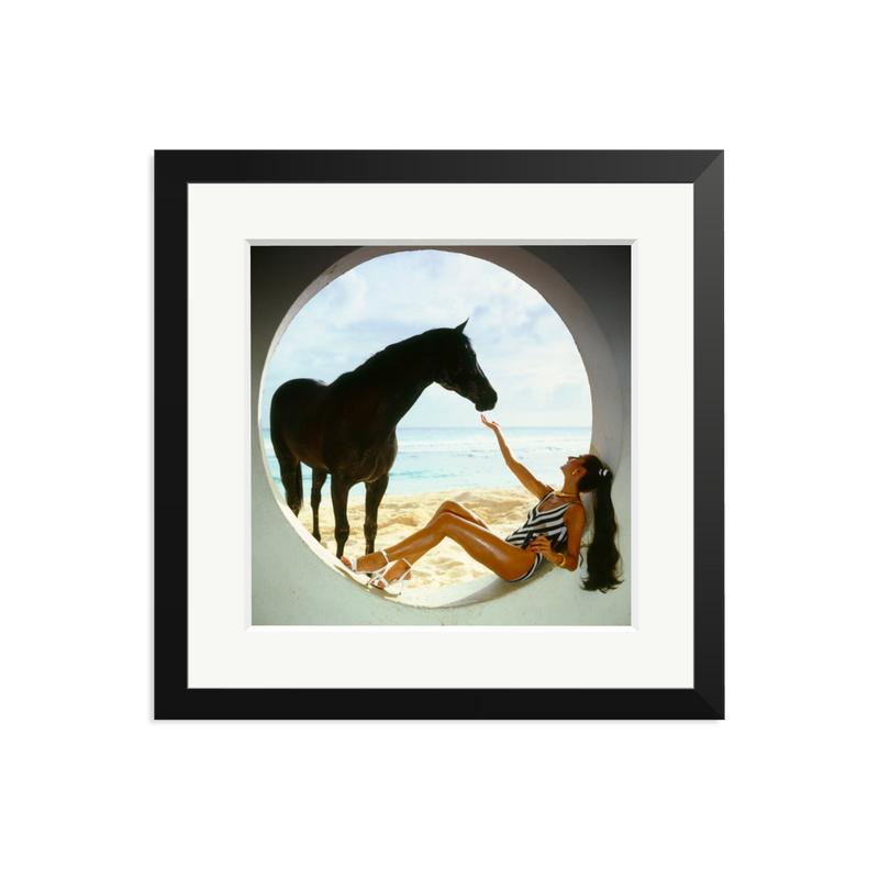 The Black Stallion