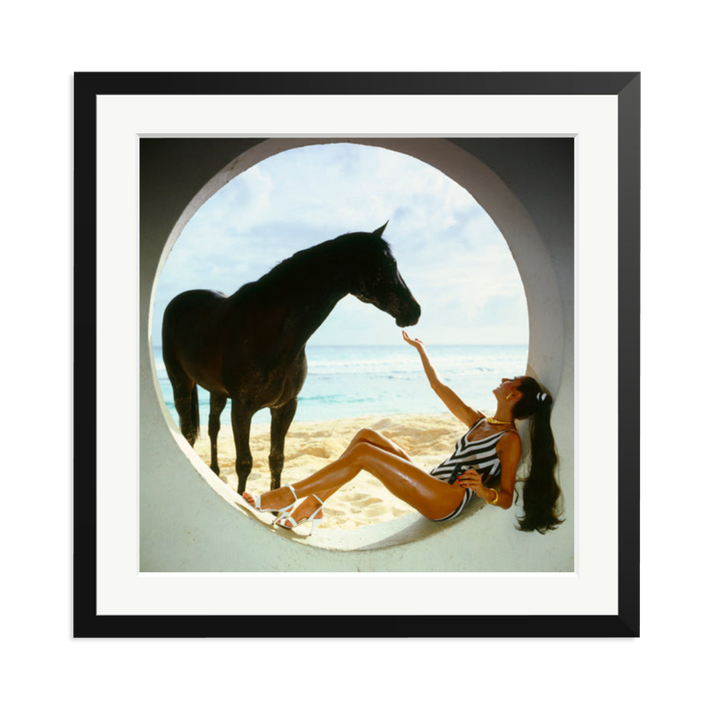 The Black Stallion
