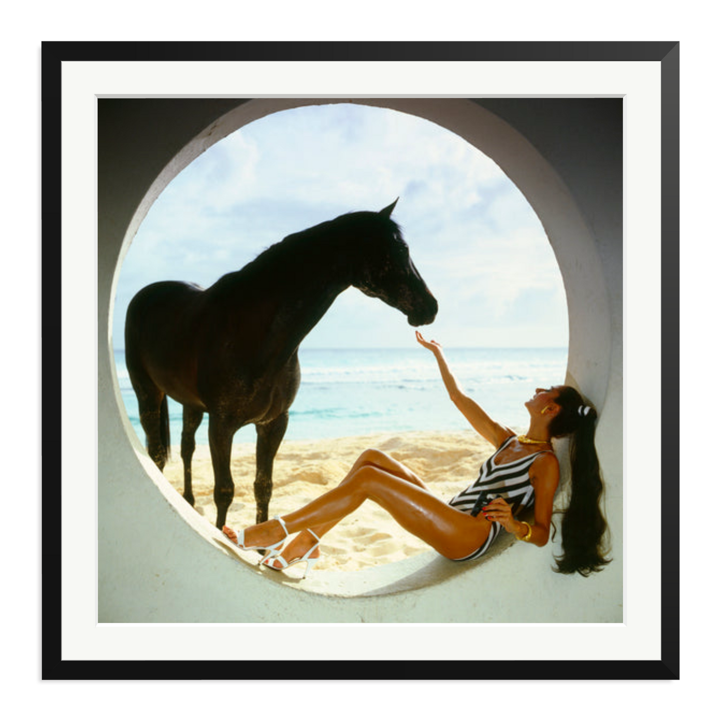 The Black Stallion
