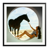 The Black Stallion