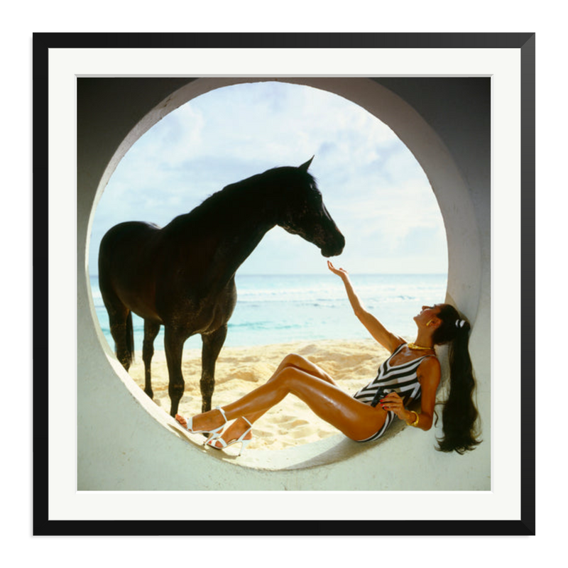 The Black Stallion