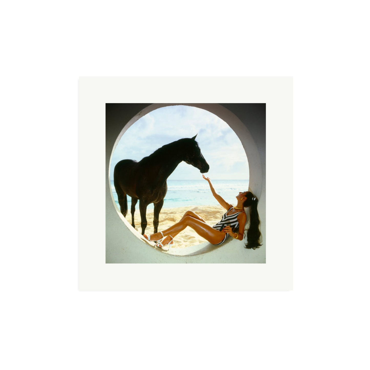 The Black Stallion
