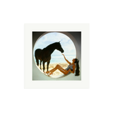 The Black Stallion