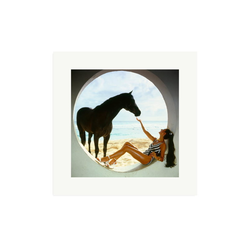 The Black Stallion