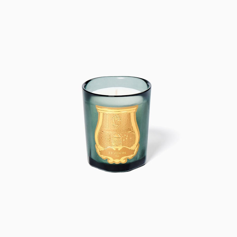La Petite Scented Candle - Figuerie