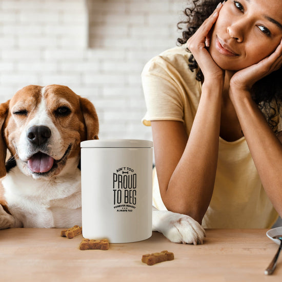 Ceramic Treat Jar for Dog