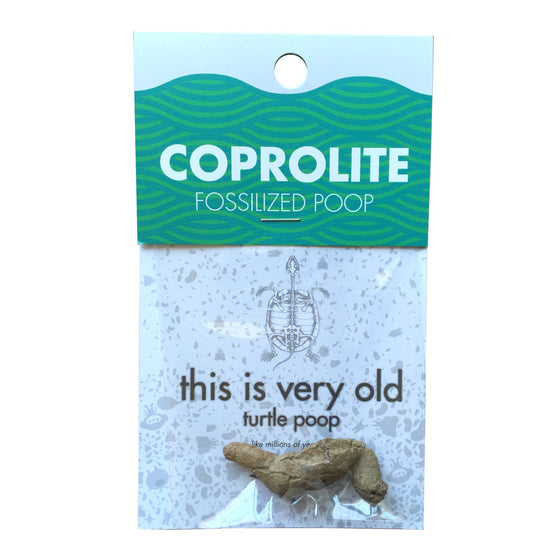 Compact Curiosity: Coprolite