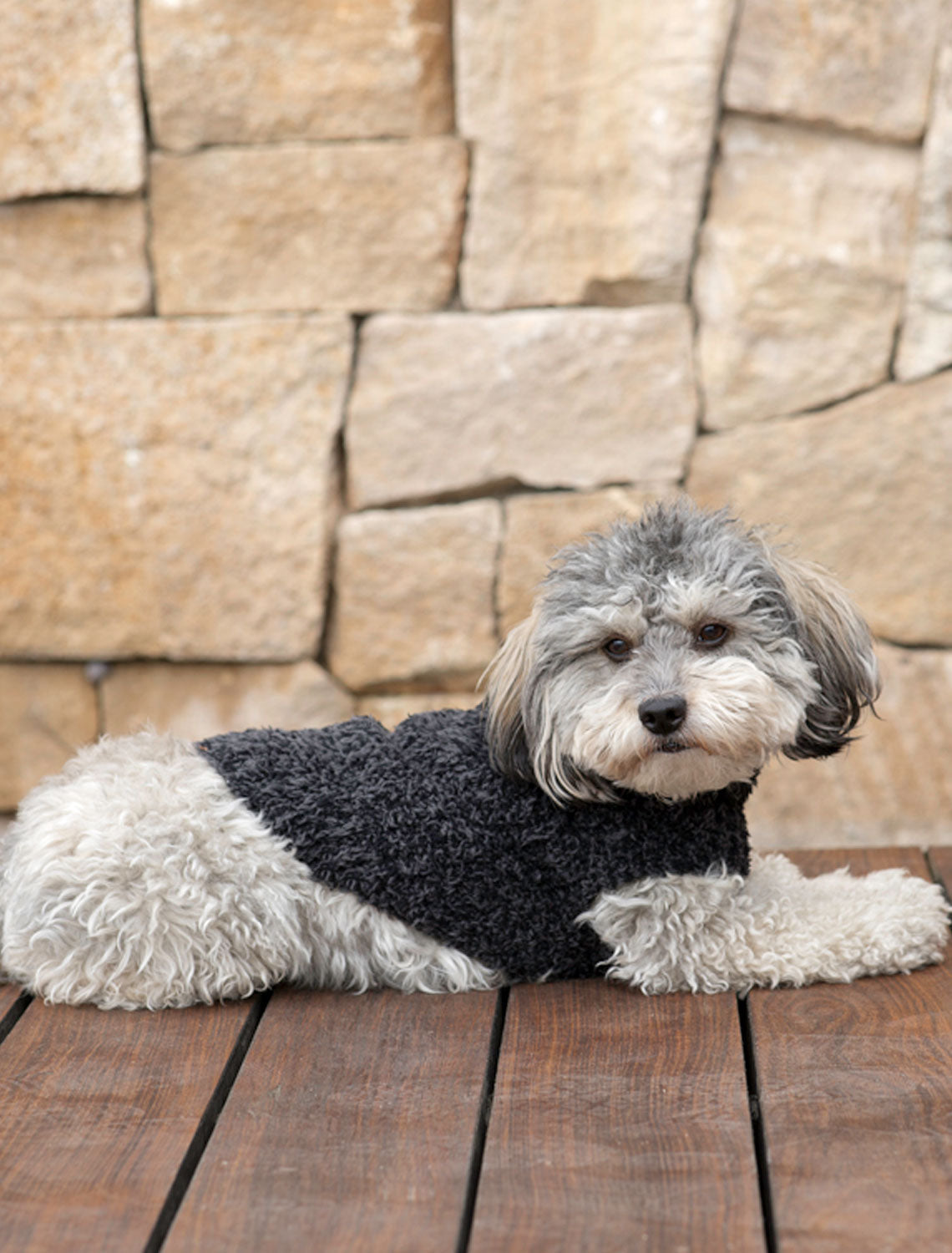 Load image into Gallery viewer, CozyChic Ribbed Pet Sweater for Dogs
