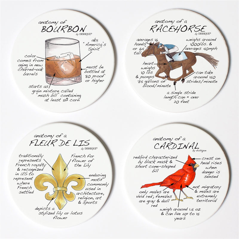 Load image into Gallery viewer, Louisville Anatomy Coasters
