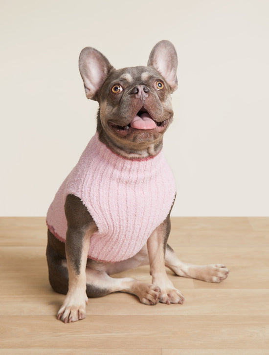 Bella Pink - CozyChic Disney Tiara Pet Sweater