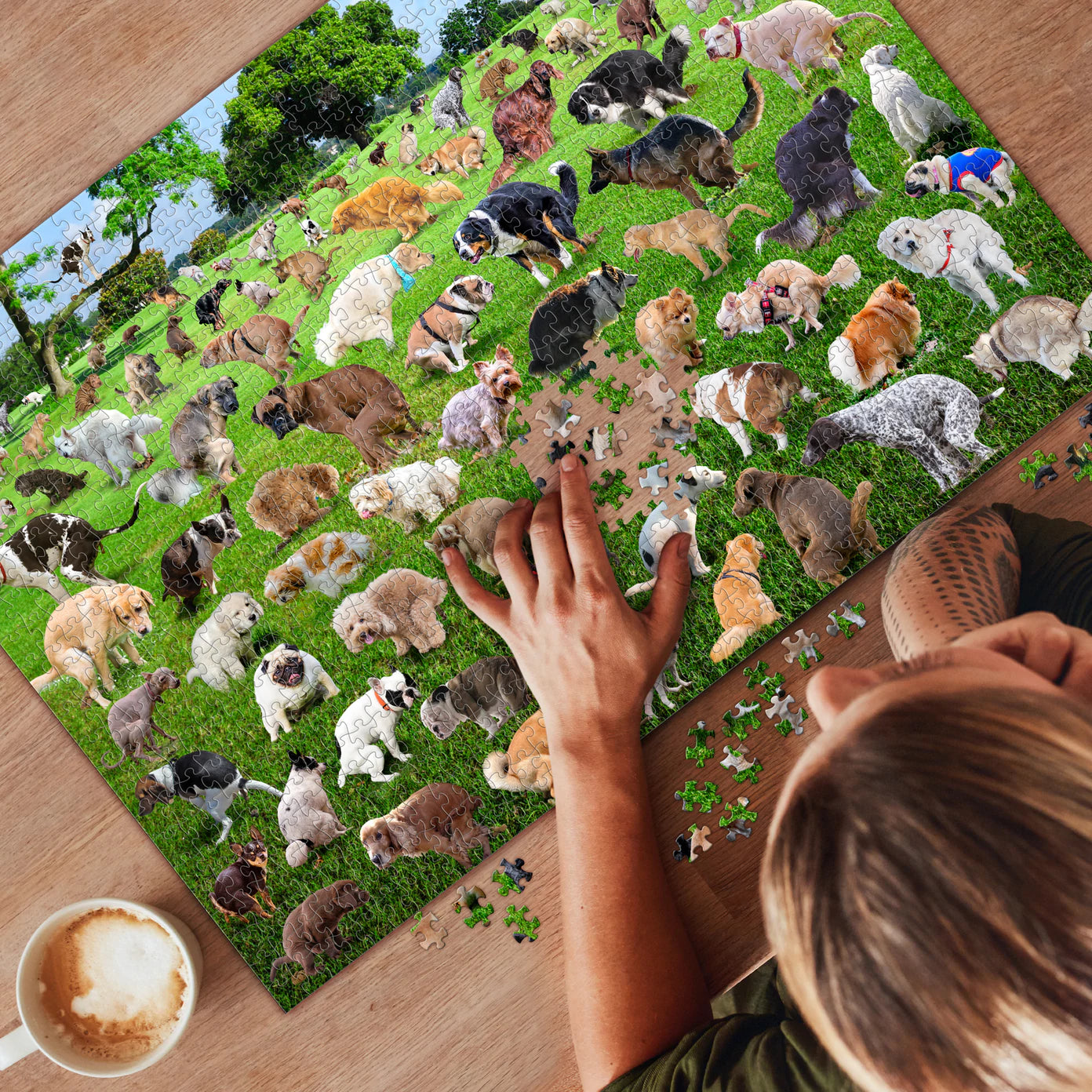  Pooping Puppies Puzzle