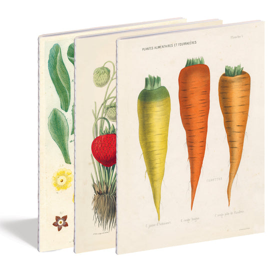 Load image into Gallery viewer, Kitchen Delights Notebook Set
