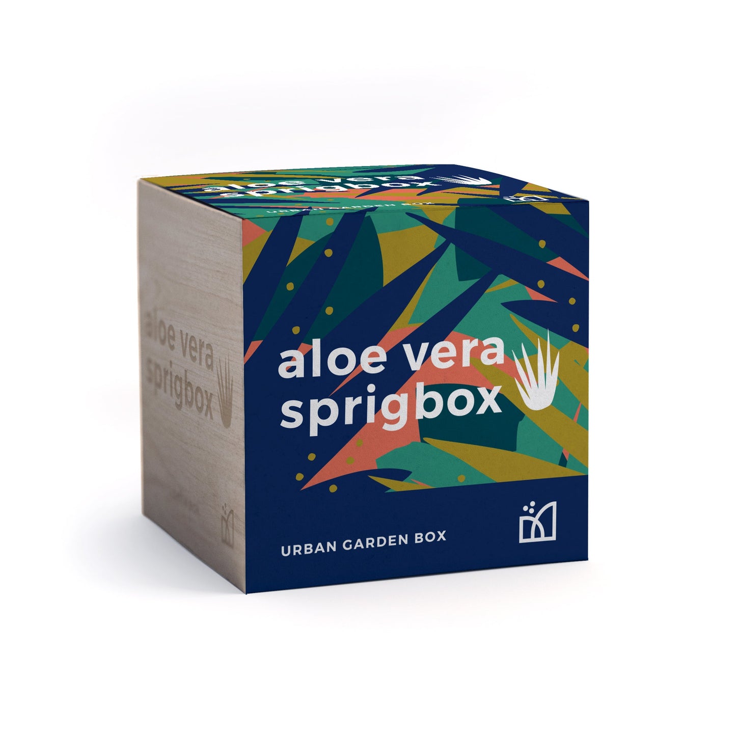  Aloe Vera - Sprigbox Urban Garden Kit