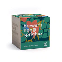 Load image into Gallery viewer,  Brewer&amp;#39;s Hop Sprigbox
