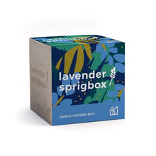  Lavender Sprigbox