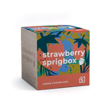 Strawberry Sprigbox