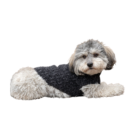 CozyChic Ribbed Pet Sweater