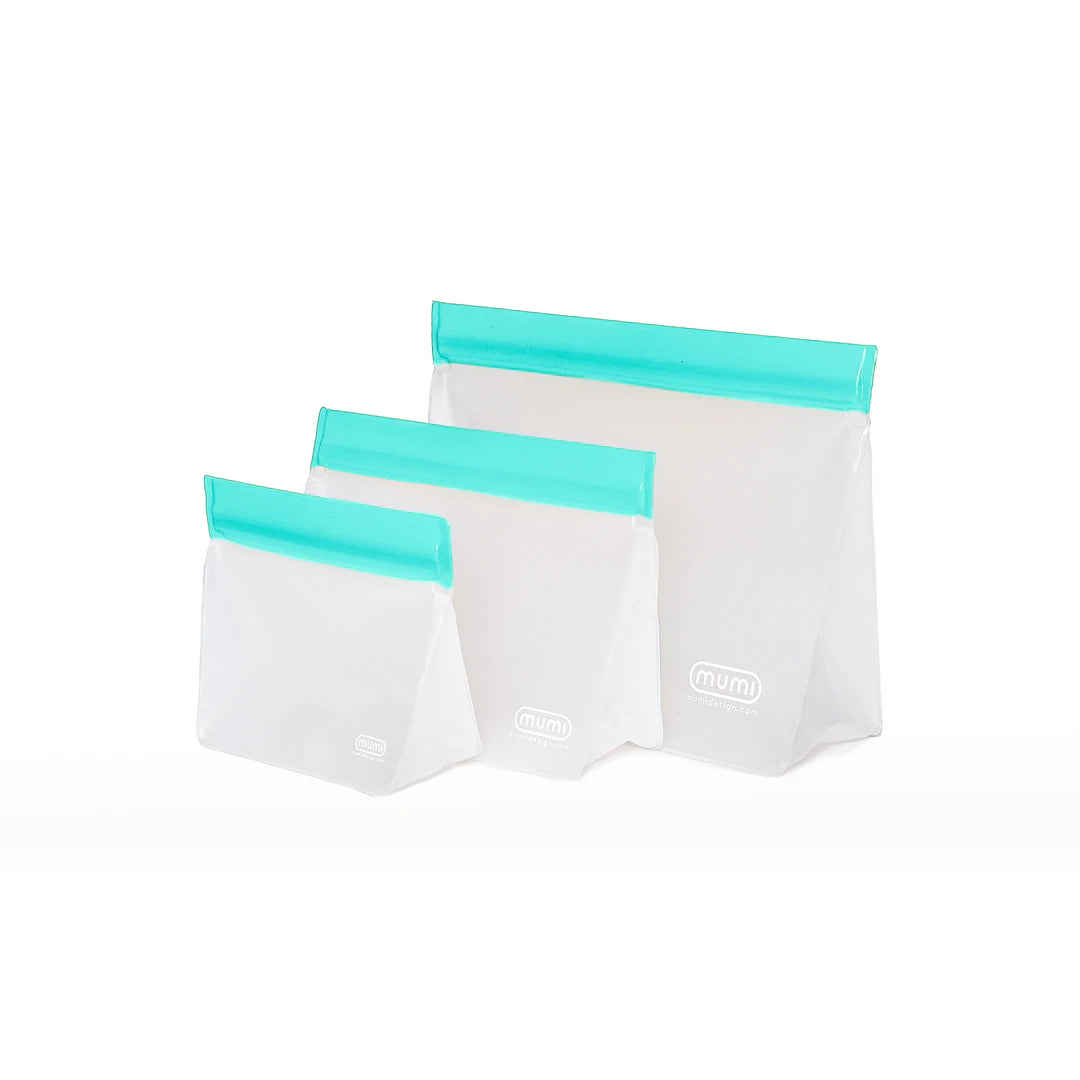  Aqua Reusable Zip Up Bag Set of 3